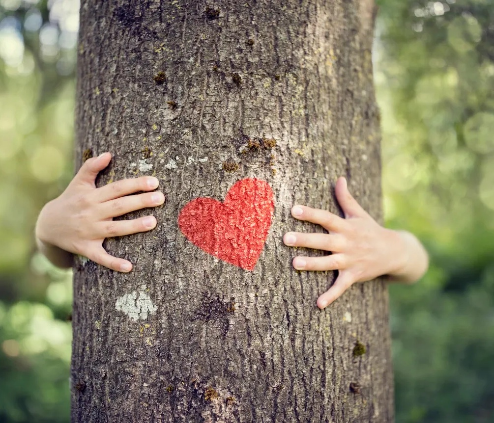 Two arms wrapped around a tree with a red heart painted on the trunk